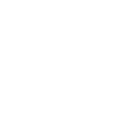 Bayer Global